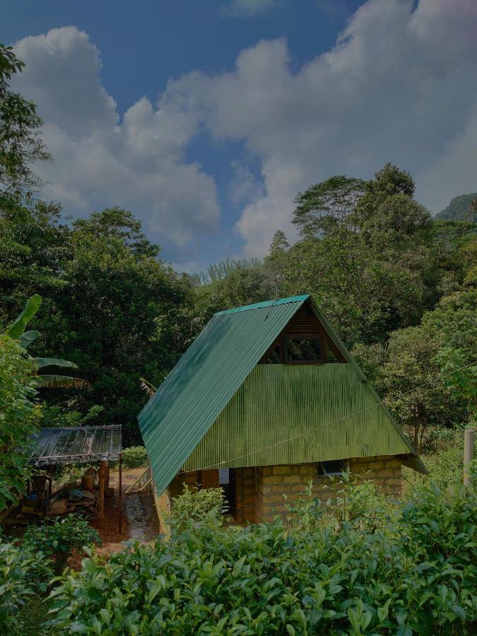 Rainforest Cabin Deniyaya Exteriör bild