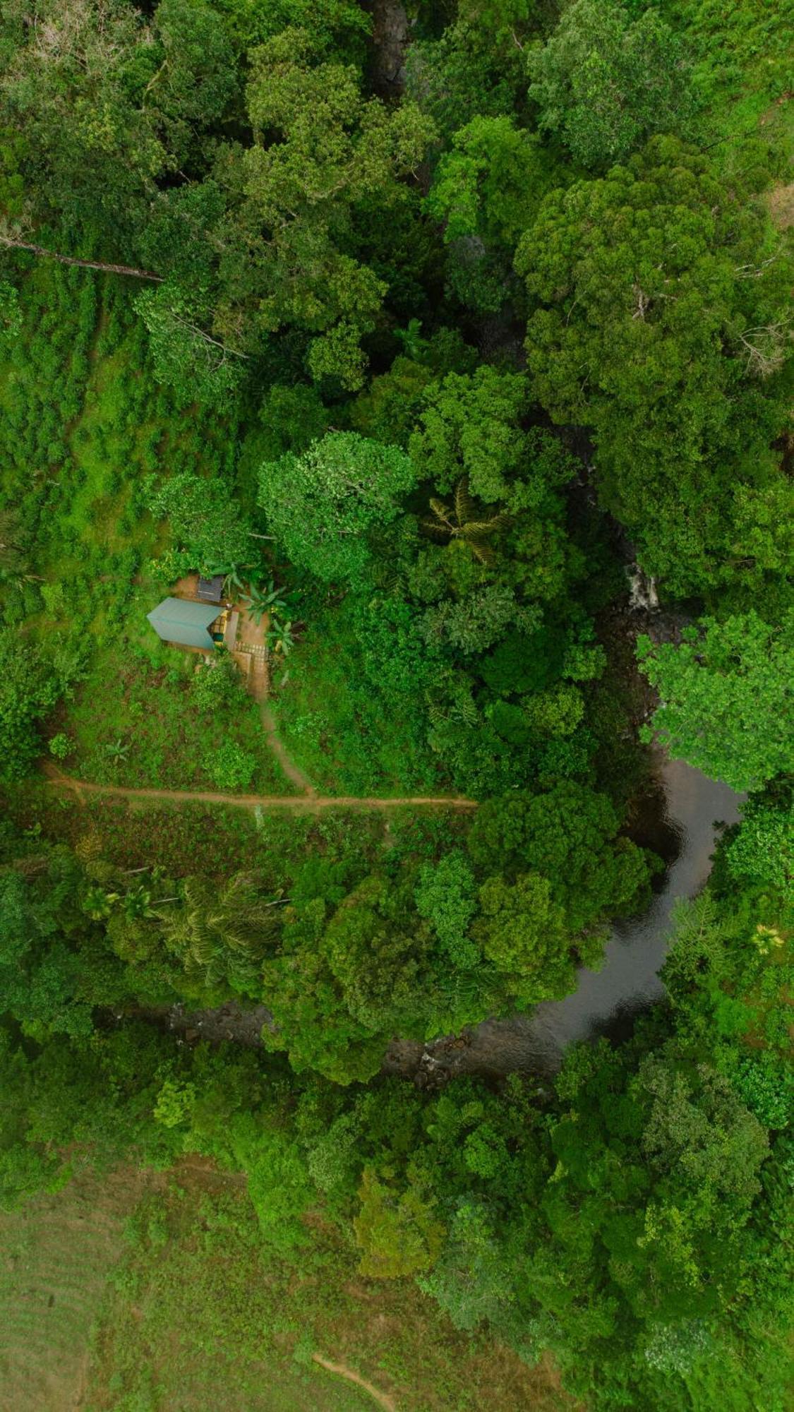 Rainforest Cabin Deniyaya Exteriör bild