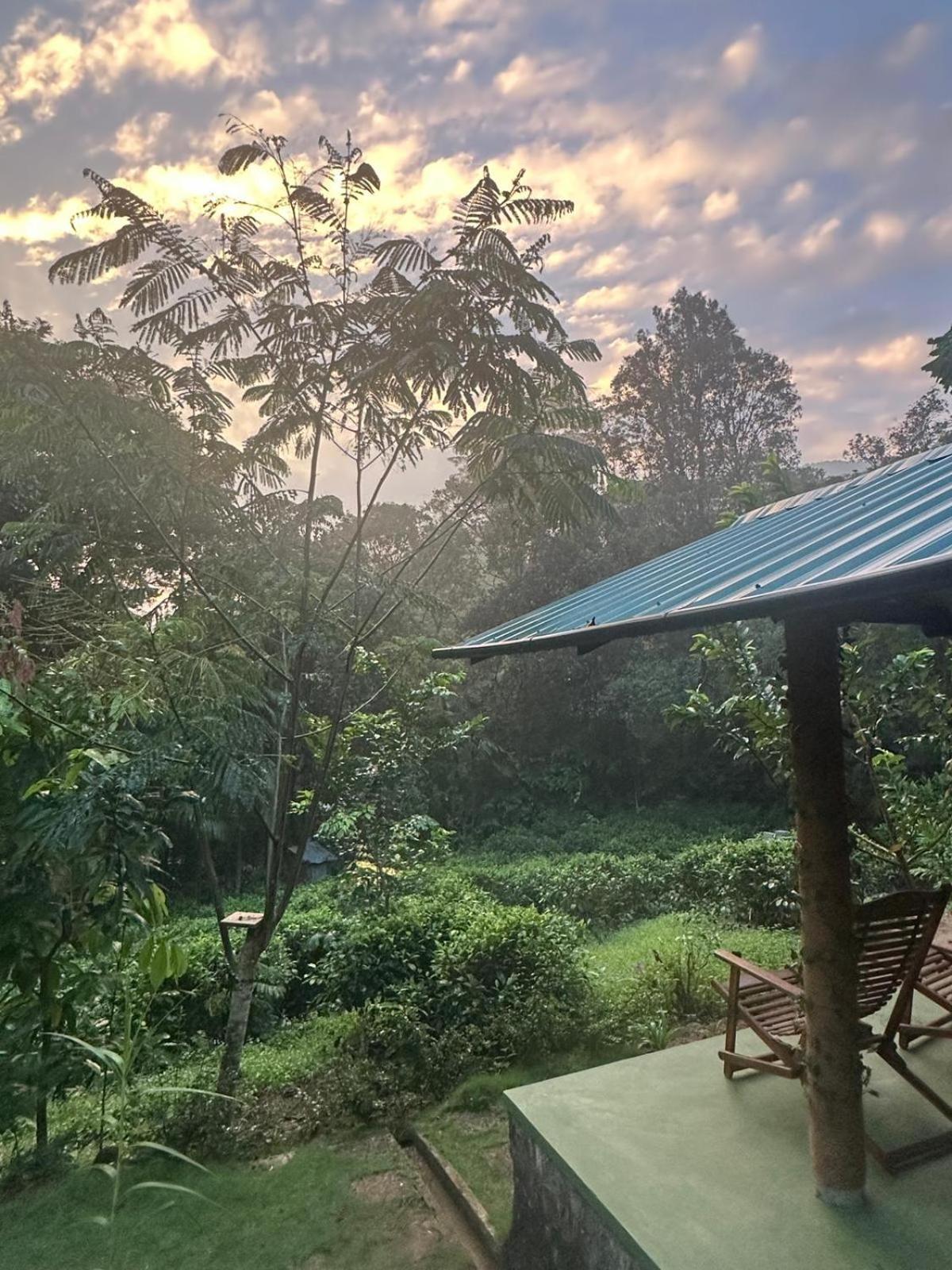 Rainforest Cabin Deniyaya Rum bild