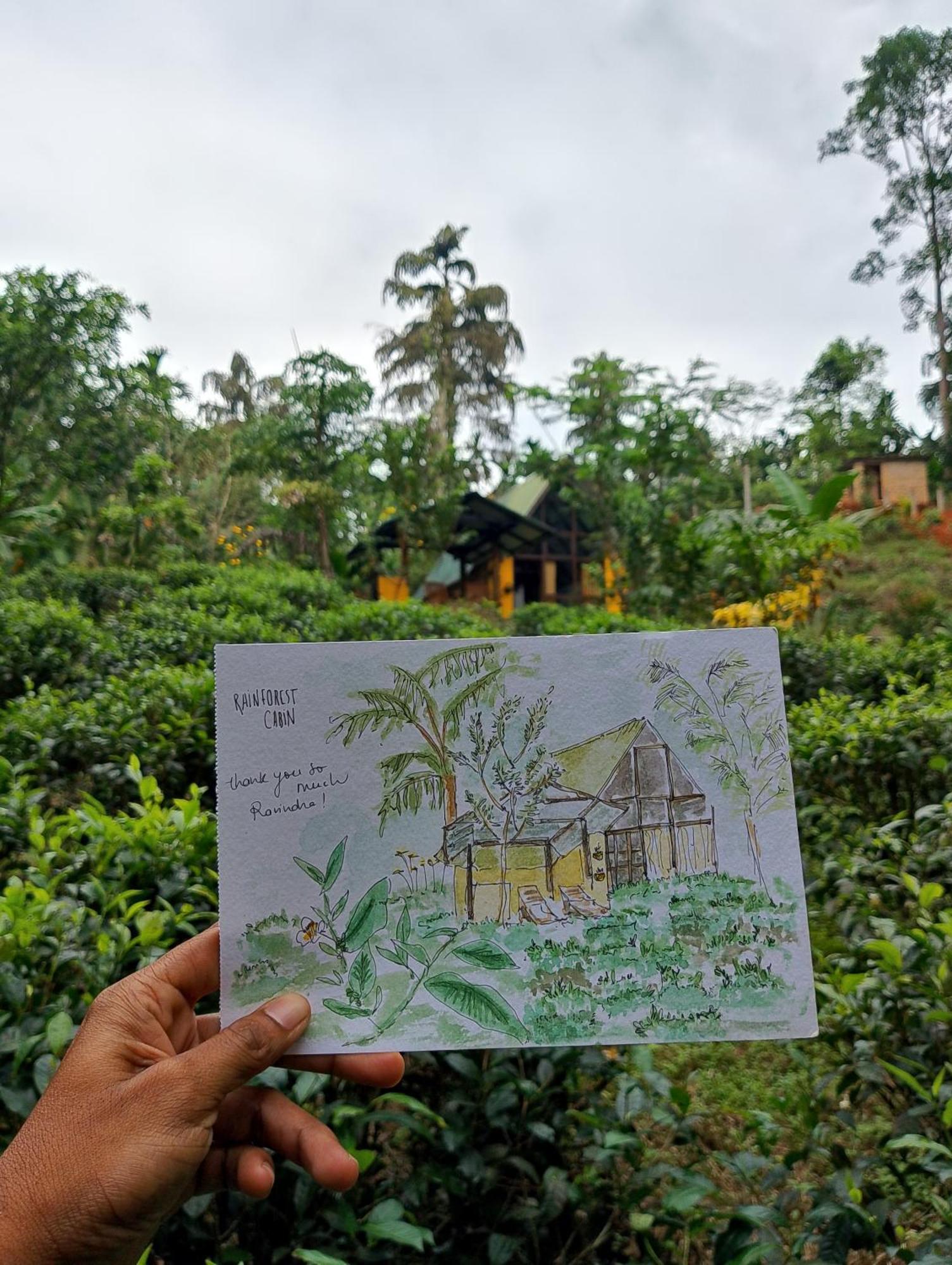 Rainforest Cabin Deniyaya Exteriör bild
